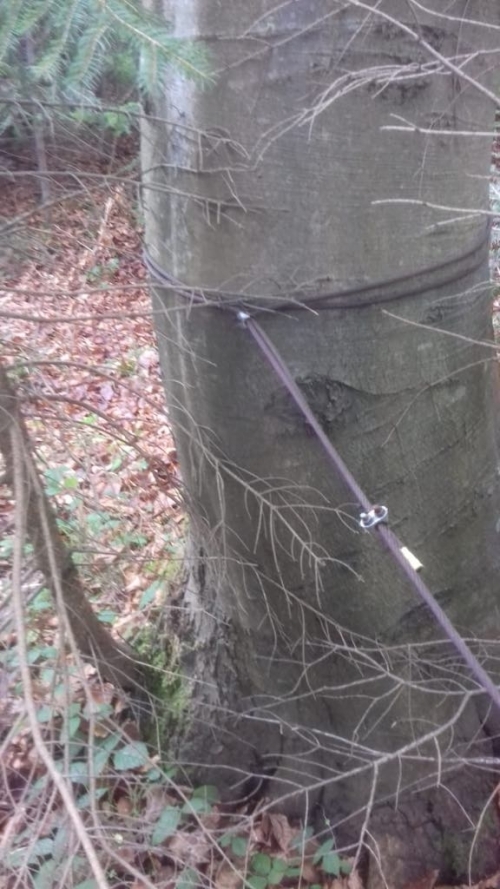 źr&oacute;dło: https://podhale24.pl/