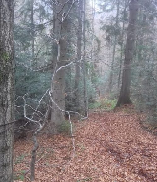 fot:https://podhale.pl/