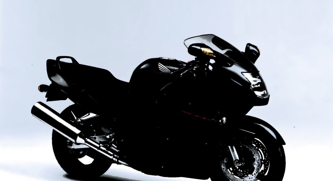 honda blackbird