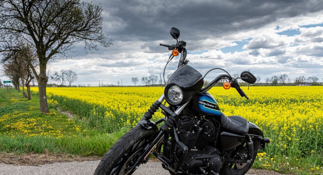 wycieczka motocyklowa okolice warszawy Mazowsze na Harleyu