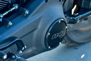 HDLowRiderSnowośćtestdanetechniczneopiniacena