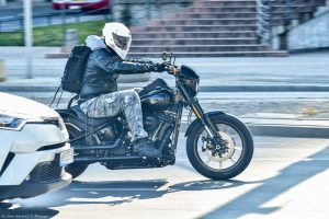 HDLowRiderSnowośćtestdanetechniczneopiniacena