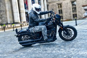 HDLowRiderSnowośćtestdanetechniczneopiniacena