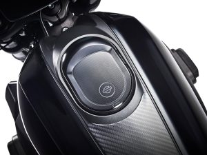 Rizoma LiveWire charge door  scaled