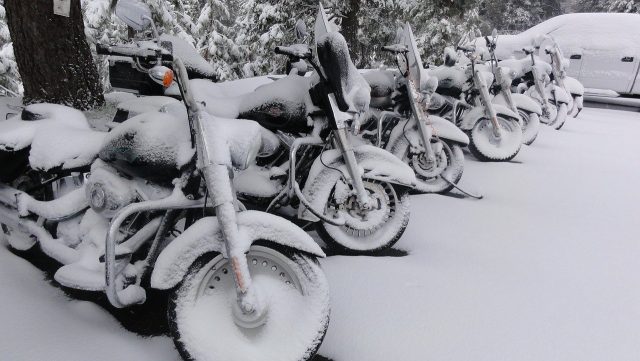 10 rzeczy, kt&oacute;re irytują nas na grupach motocyklowych [felieton]