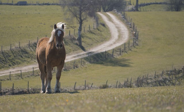 Yamahą Super Tenere 750 z przygodami po francuskim odcinku TET!