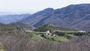 pejzażyk  MV DuzeZdjecie W