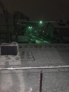 WhatsApp Image    at