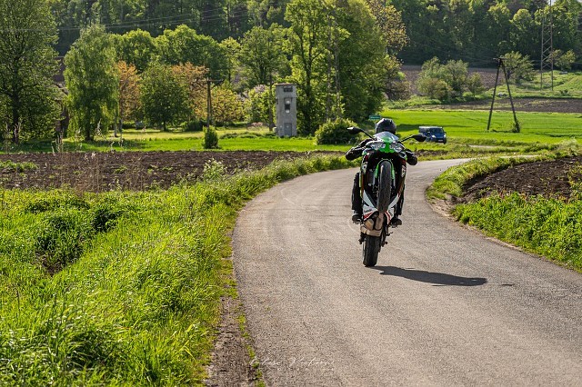 Test Ninja 650