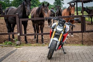 BMW F  R  dane techniczne test opis