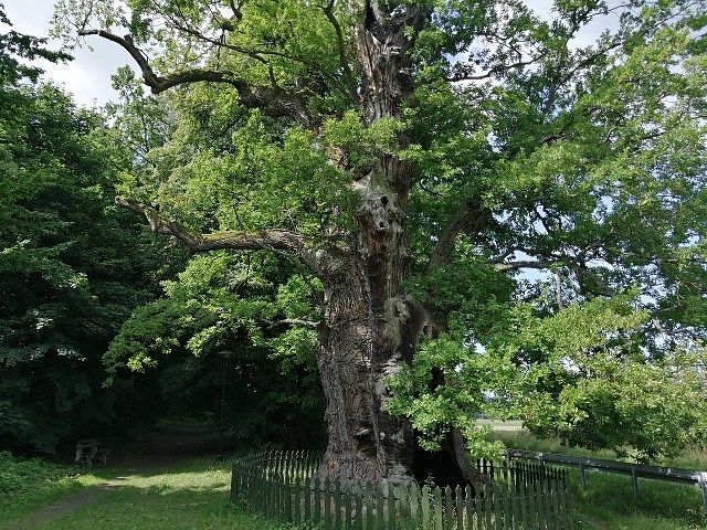 Motocyklem dookoła Polski: arcykowal pan J&oacute;zef, blokada Helu, nadmorski lans adventur&oacute;w z kuframi