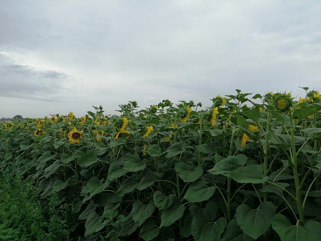 Motocyklem dookoła Polski: deszczowa droga, przyjaźń od parasola i rozkaz pogranicznika