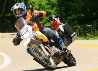 z psem na motocyklu jak przewieźć czy to legalne