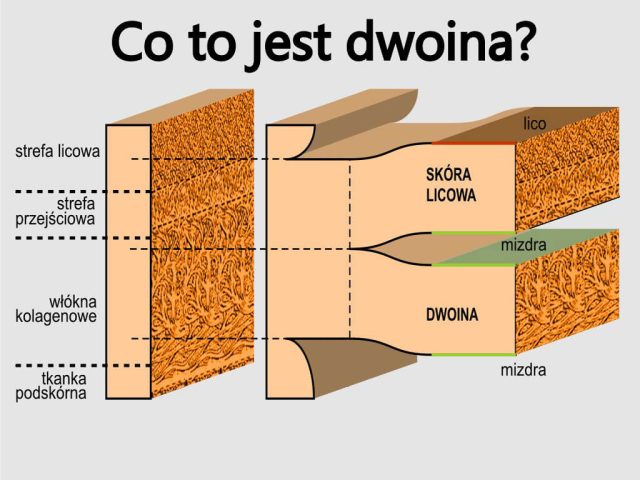 Kupno drogiej, motocyklowej tandety jest prestiżowe, konsorcja liczą zyski, a ekologia to ściema!