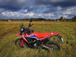 CRF 300 Rally czy L por&oacute;wnanie test w terenie offroad cena dane techniczne_56