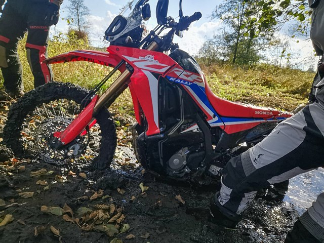 CRF 300