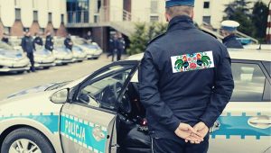 Kopia pizza party-MV_GlowneZdjecie-W855Q95