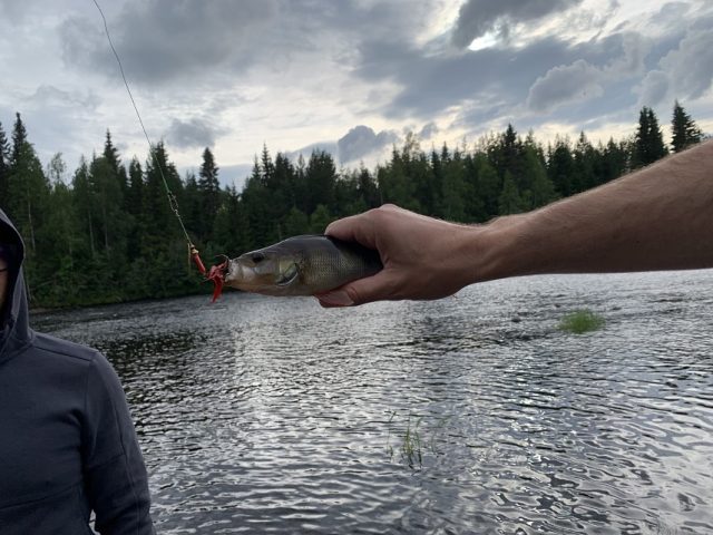 Motocyklowa dzika Szwecja, czyli wyprawa turystycznymi enduro w poszukiwaniach stug