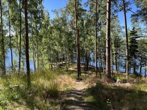 Szwecja motocyklem trasy gdzie nocować piękne miejsca 2022_17