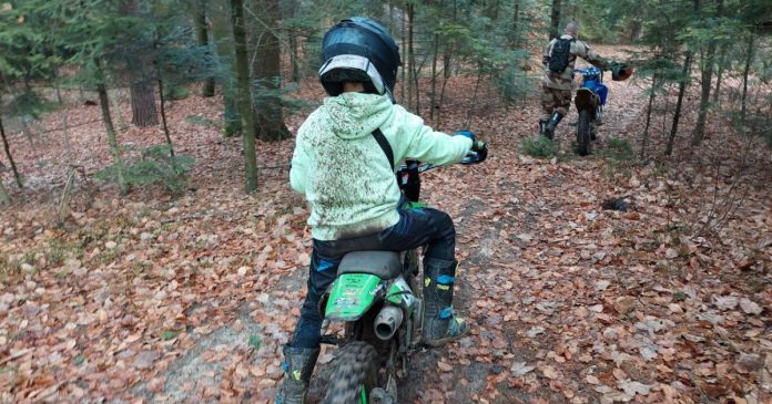 cross las zakaz wjazdu do lasy straż leśna