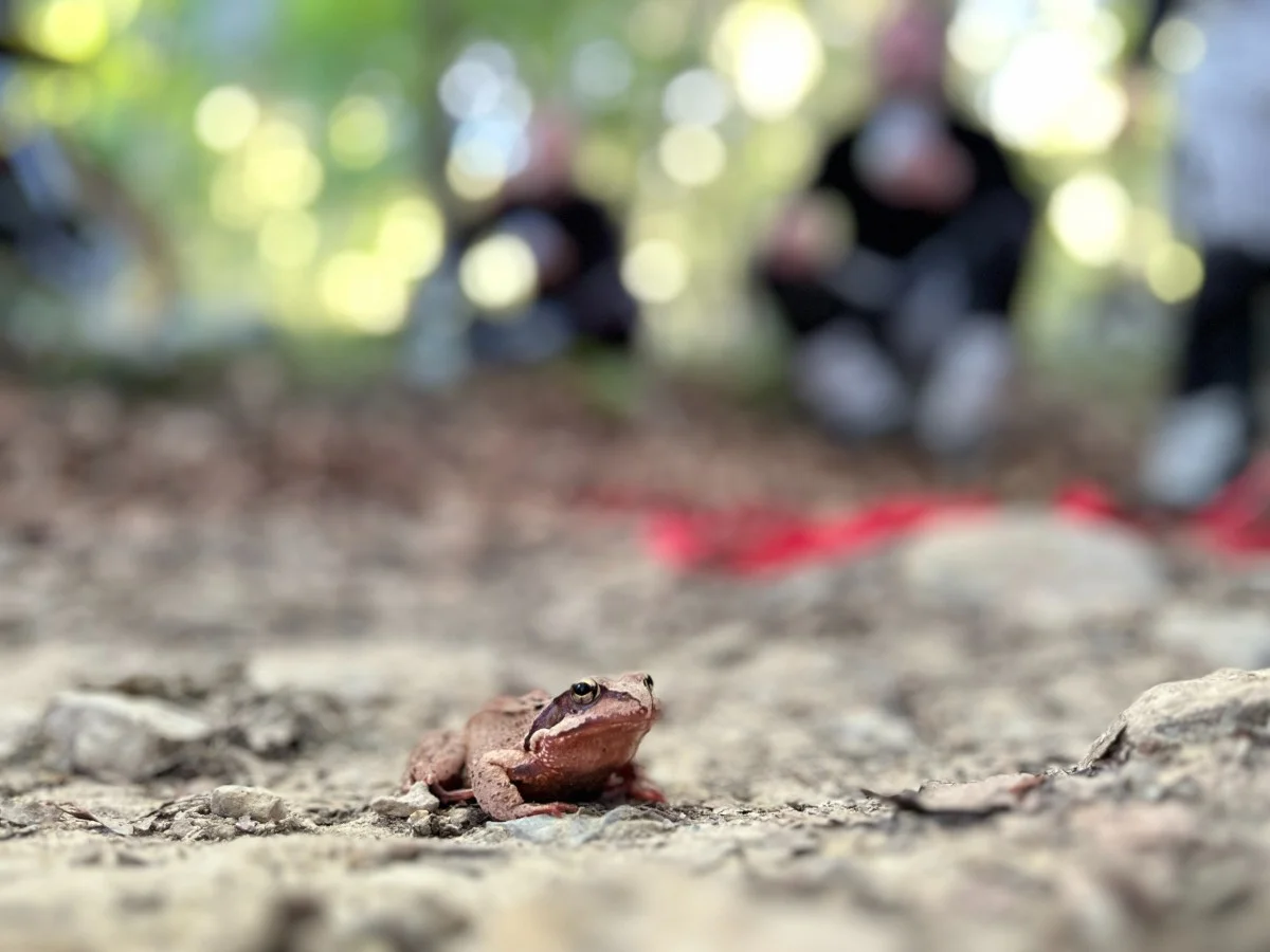 Czechy, Austria, Słowenia, Włochy i Niemcy &ndash; nasz redakcyjny motocyklowy wyjazd po asfaltach i szutrach [relacja, galeria zdjęć, trasy, mapki]