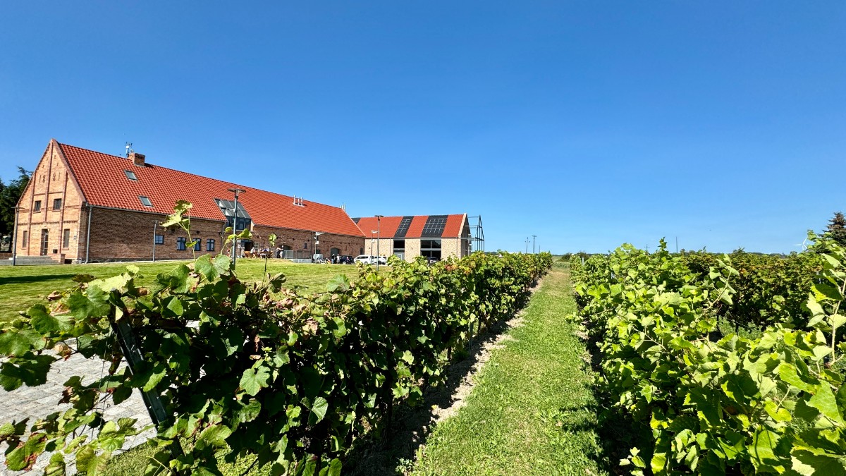 Woj. zachodniopomorskie: nowoczesne i dzikie zarazem. Co zobaczyć, gdzie pojechać? [Motocyklowa Polska na weekend, trasa, mapki, GPX]