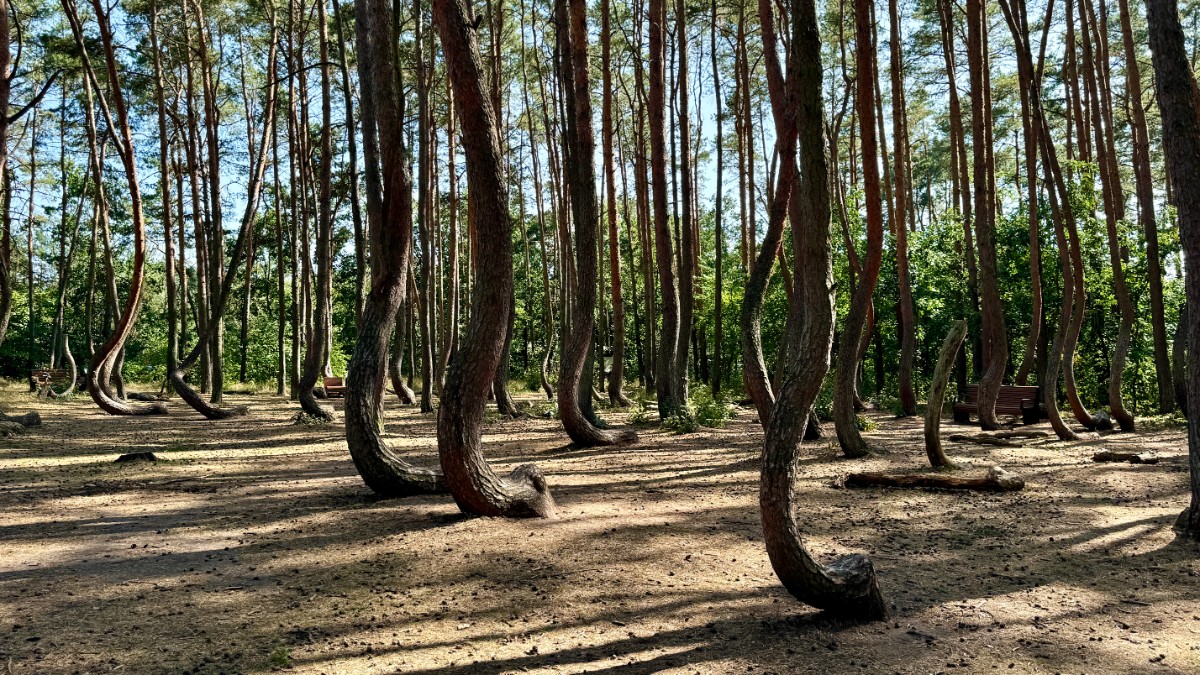 Woj. zachodniopomorskie: nowoczesne i dzikie zarazem. Co zobaczyć, gdzie pojechać? [Motocyklowa Polska na weekend, trasa, mapki, GPX]