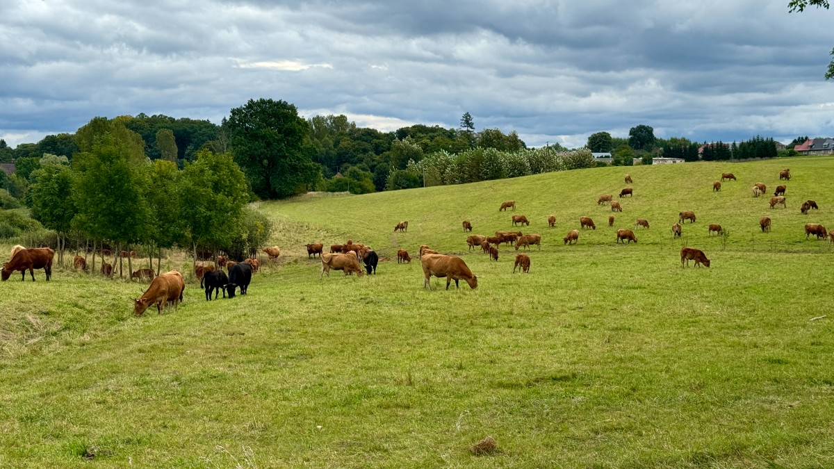 Woj. zachodniopomorskie: nowoczesne i dzikie zarazem. Co zobaczyć, gdzie pojechać? [Motocyklowa Polska na weekend, trasa, mapki, GPX]