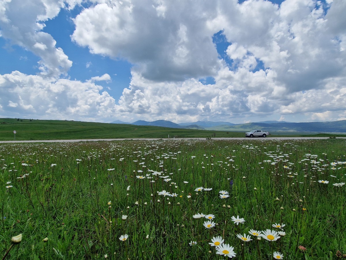 Bałkany na skuterach 125 &ndash; wielka wyprawa na małych jednośladach [część 1, relacja, zdjęcia, Suzuki Address, Avenis]