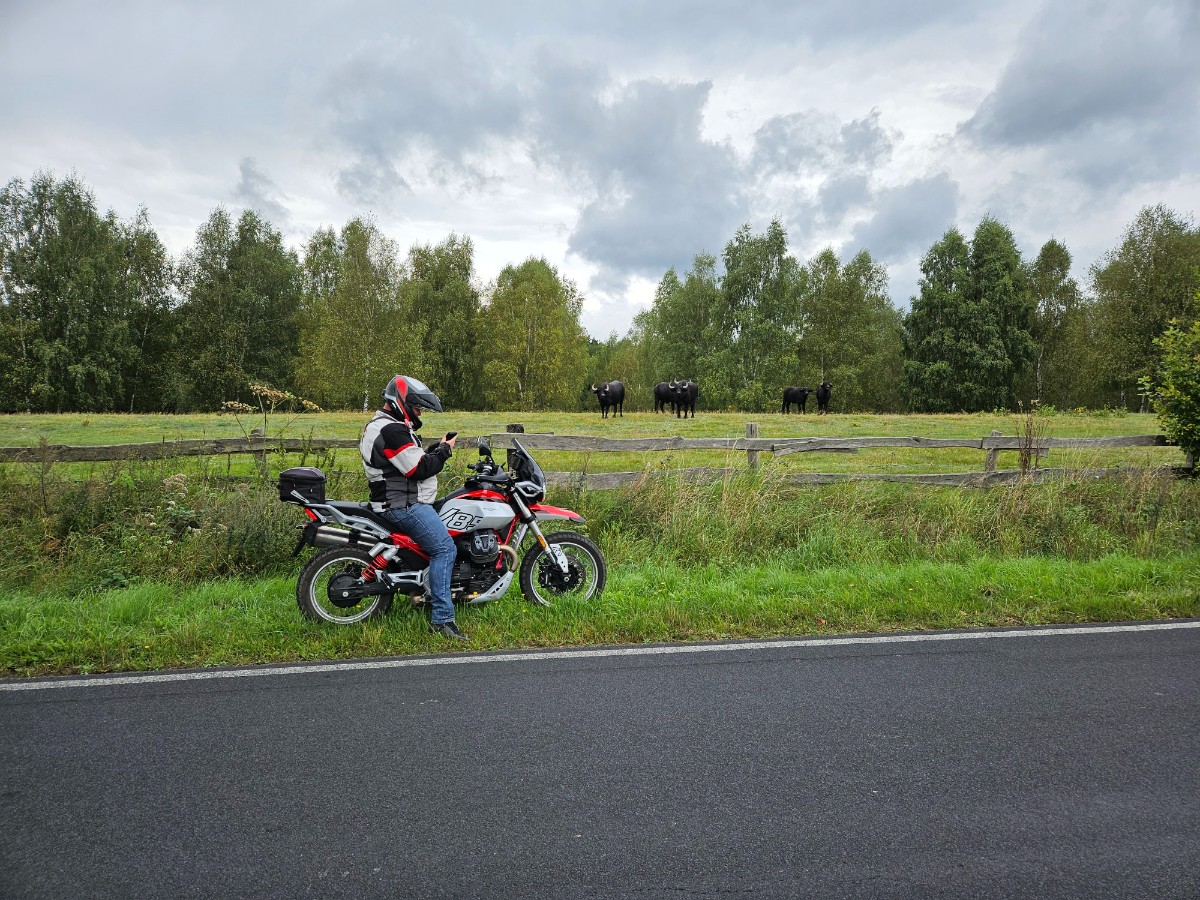 Moto Guzzi V85 TT 2024: lekko zmieniony, niezmiennie znakomity [test, opinia, recenzja, dane techniczne, cena]