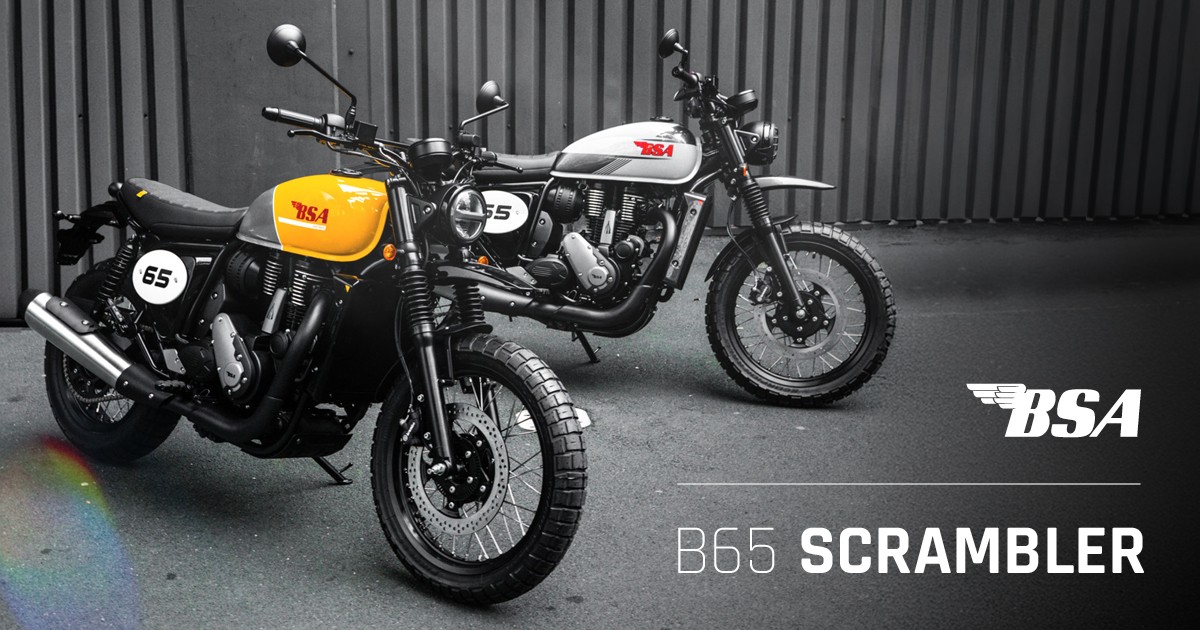 BSA B65 Scrambler 2