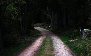 obraz 1 droga lesna offroad szutr szuter droga polna