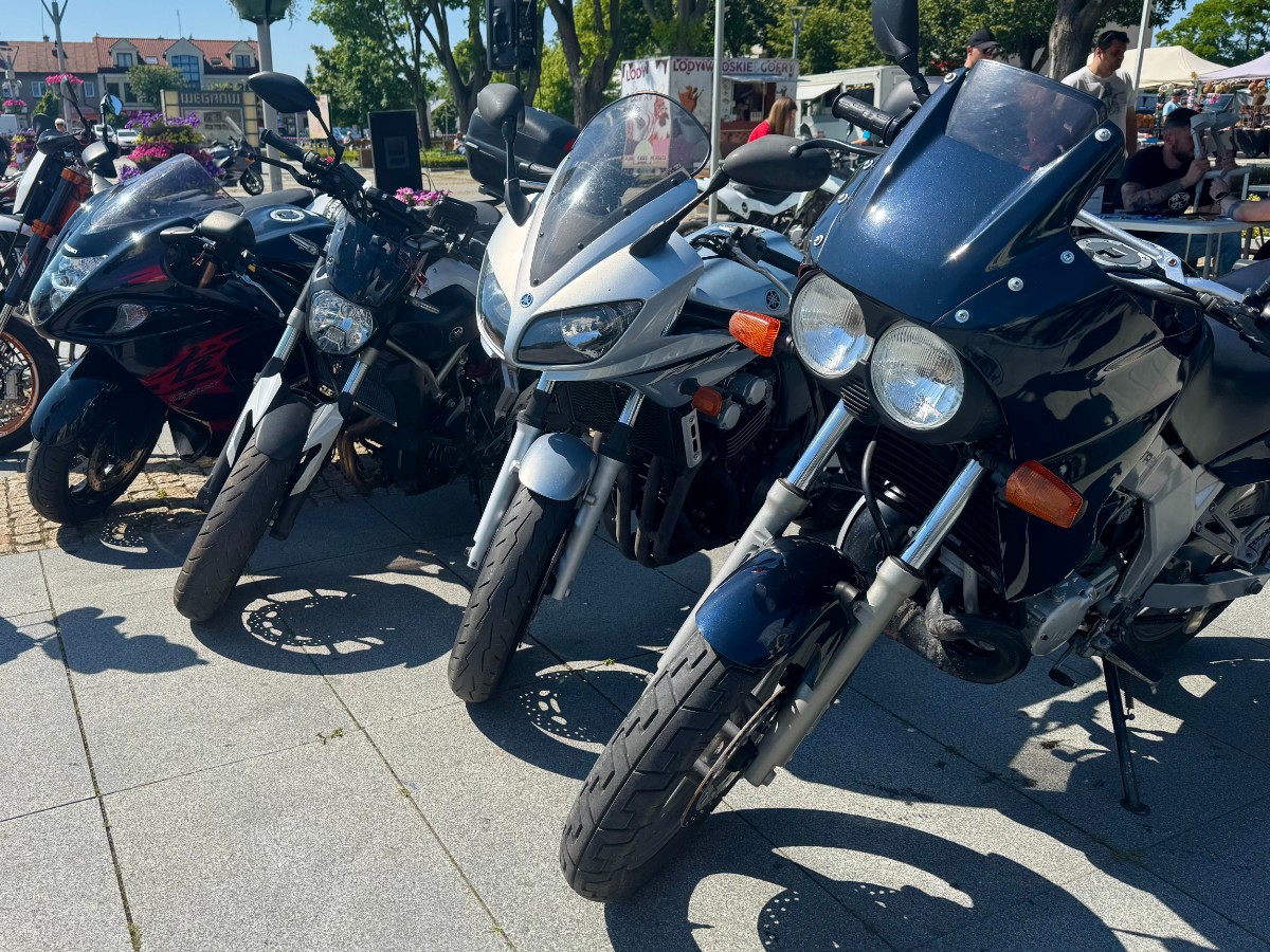 zlot impreza ilustracyjne wegrow