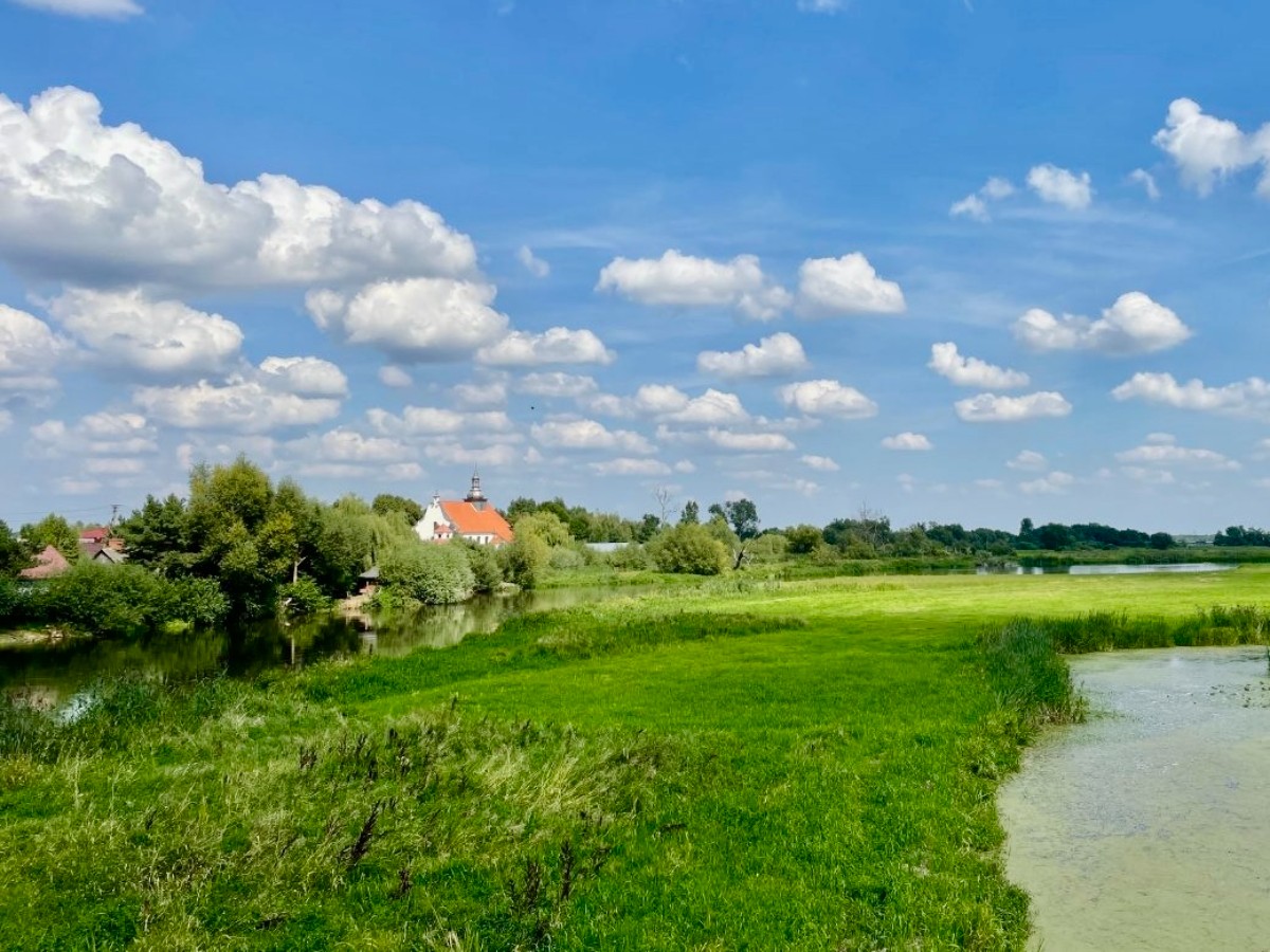 Lubelskie 27 jeziorzany