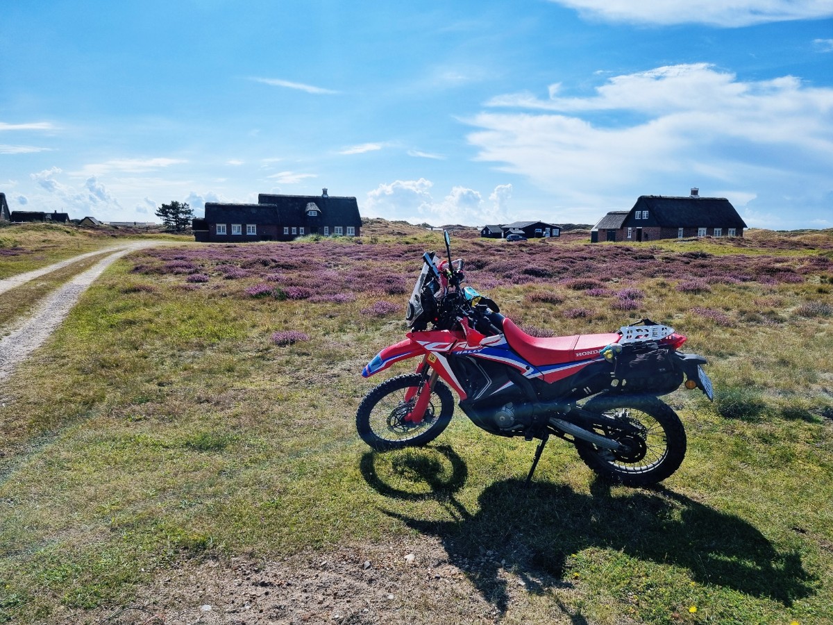 Kaskiem Czochrana Szwecja Dania Niemcy Holandia 10