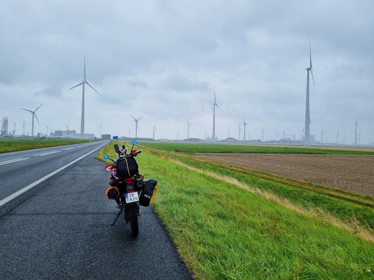 Kaskiem Czochrana Szwecja Dania Niemcy Holandia 26