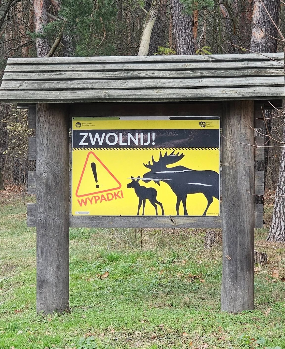 Odcinkowy pomiar predkosci kampinos 1 Odcinkowy pomiar predkosci kampinos 1