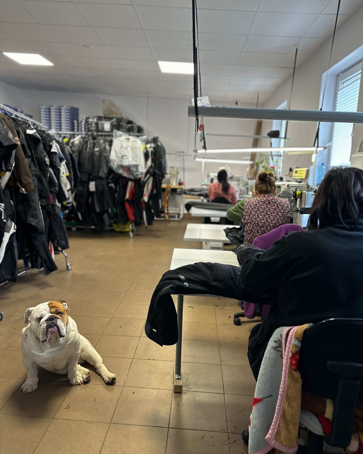 Robertozon sponsorowany czyszczenie odziezy 1