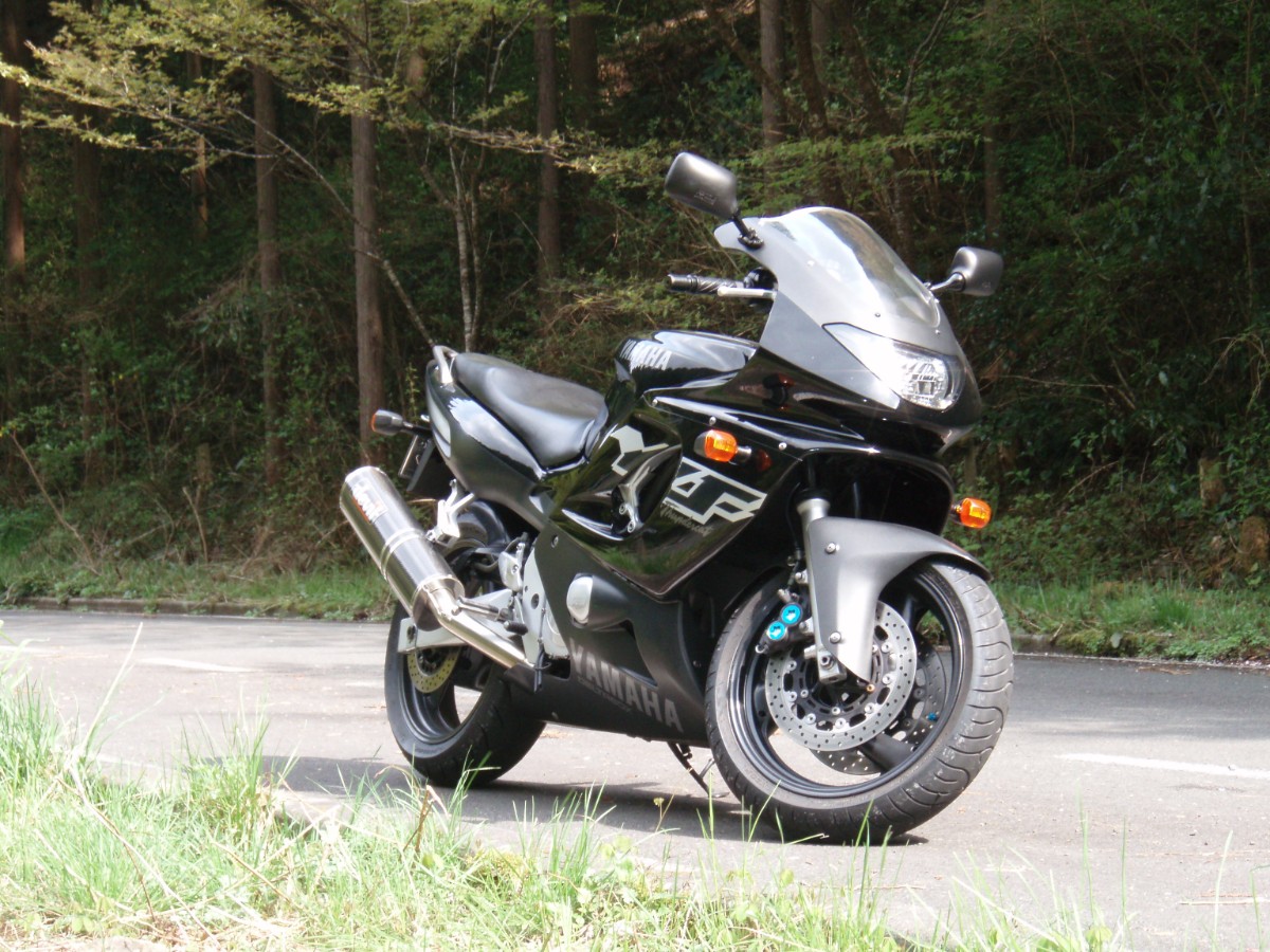 Yamaha YZF 600R Thundercat 5 Tarpa600tc Wikimedia