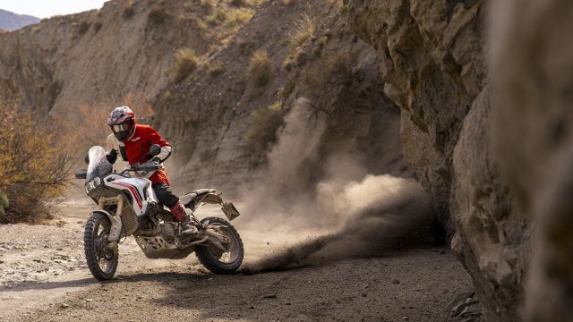 Ducati DesertX 2026 2