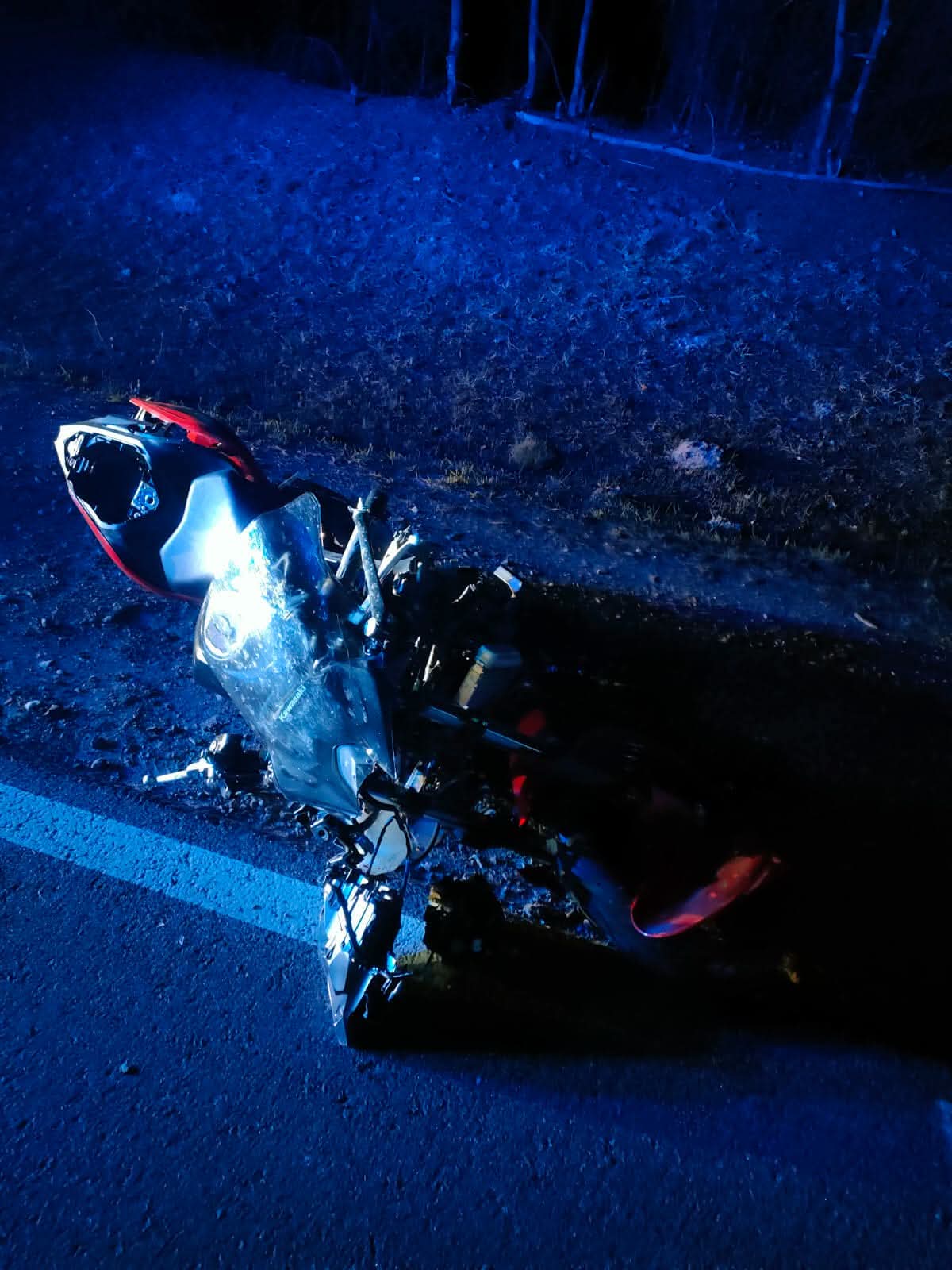 zderzenie motocyklistki z losiem 2026 wypadek kmp plock 1