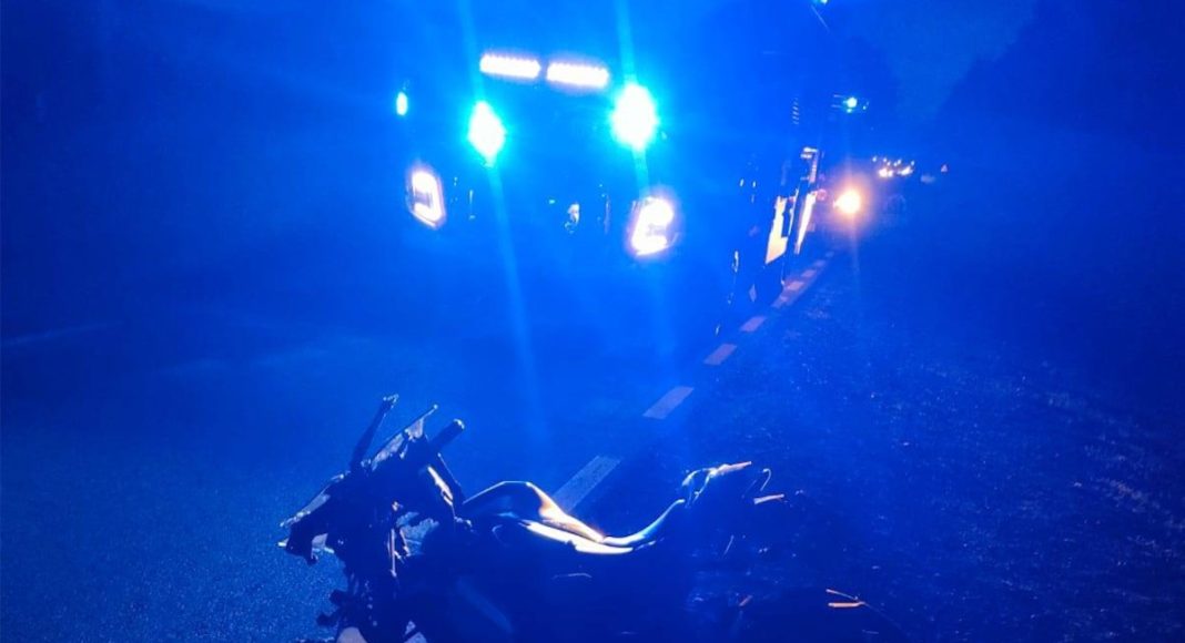 zderzenie motocyklistki z losiem 2026 wypadek kmp plock 2