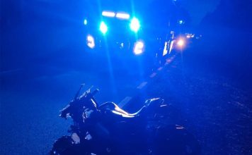 zderzenie motocyklistki z losiem 2026 wypadek kmp plock 2