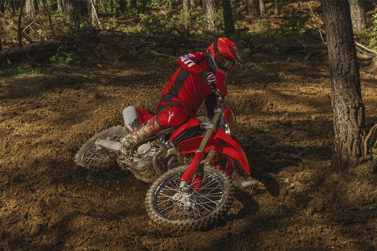 Ducati Desmo 450 EDS enduro 3 Ducati Desmo 450 EDS enduro 3