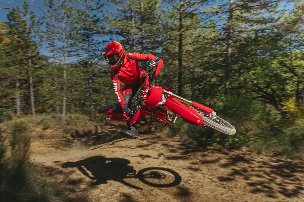 Ducati Desmo 450 EDS enduro 5 Ducati Desmo 450 EDS enduro 5
