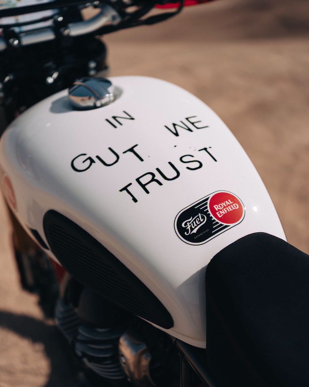 Royal Enfield Bear Fuel Fury 650 custom 5.png