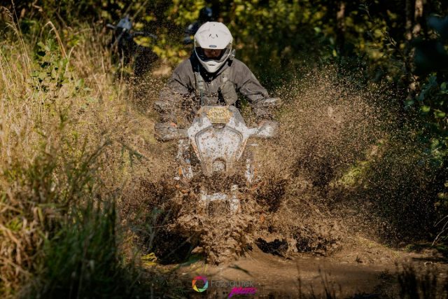 adventure fest 4
