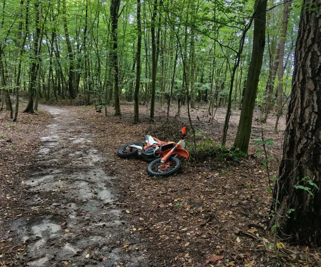wypadek enduro las KPP Busko Zdroj wypadek enduro las KPP Busko Zdroj