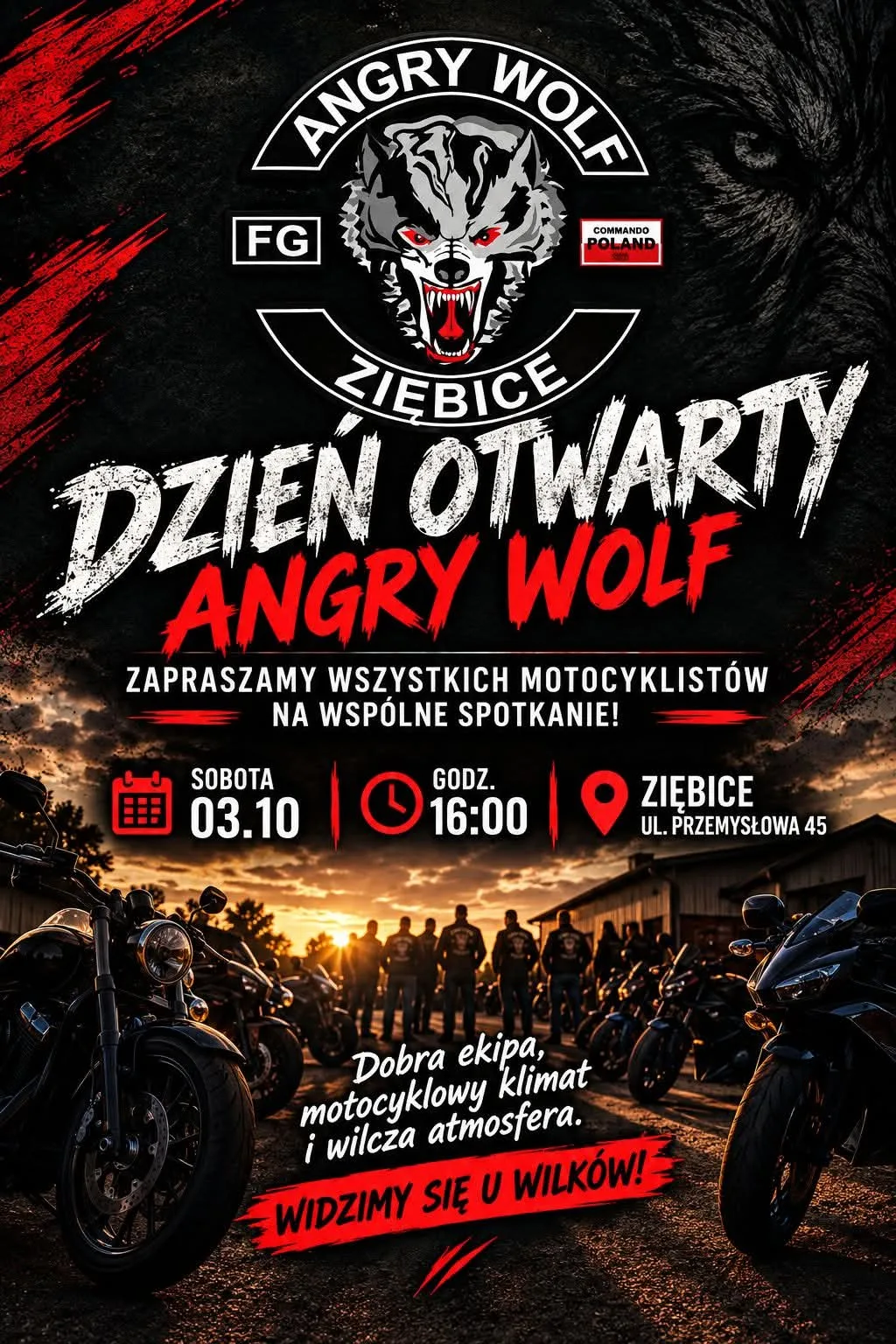 Ziebice Ziebice